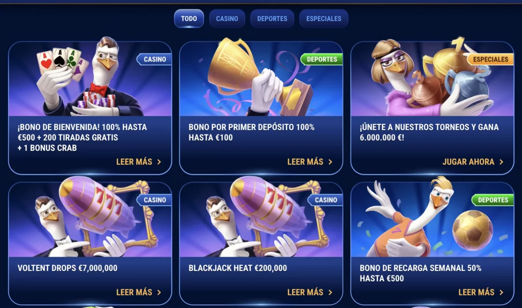 Wingaga - promotions